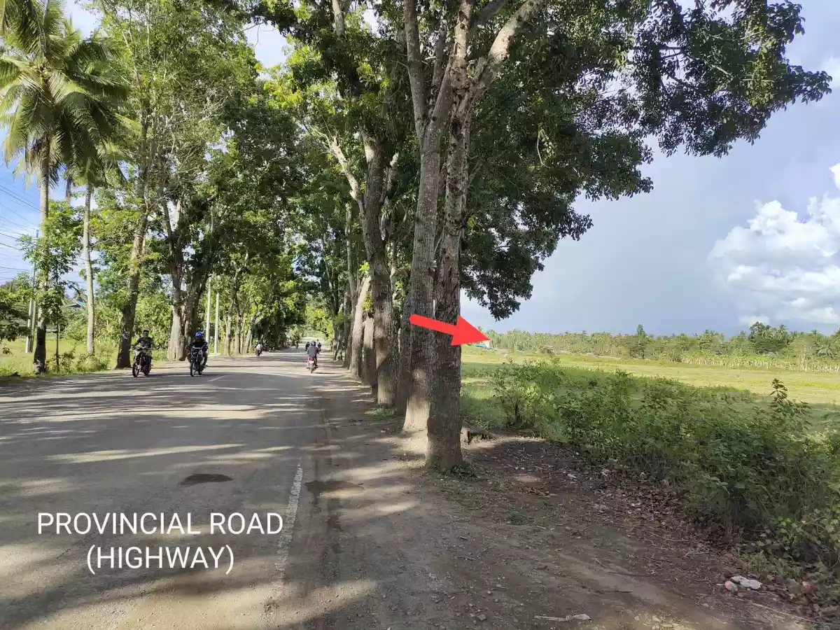 Lot for Sale in Tuburan, Cebu — Commercial Lot in Poblacion, Tuburan, Cebu — Photo 7
