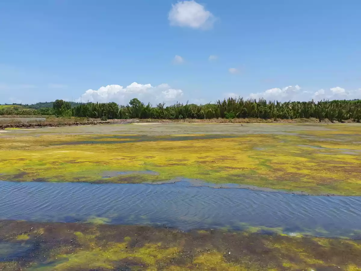 Developers' Pick! Prime Location for Township/Commercial Development in Roxas City - photo 7