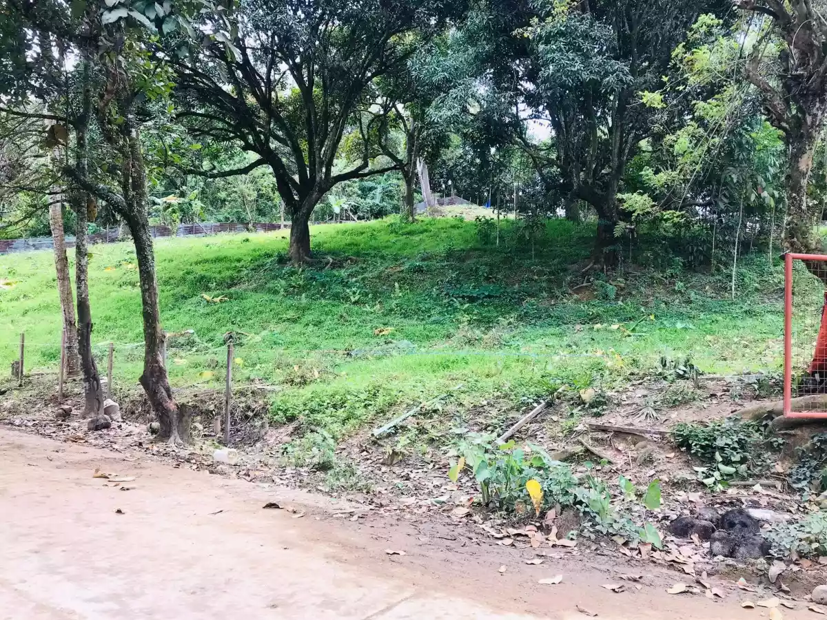For Sale Lot - photo 4