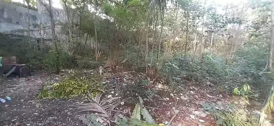 Lot for Sale - photo 6