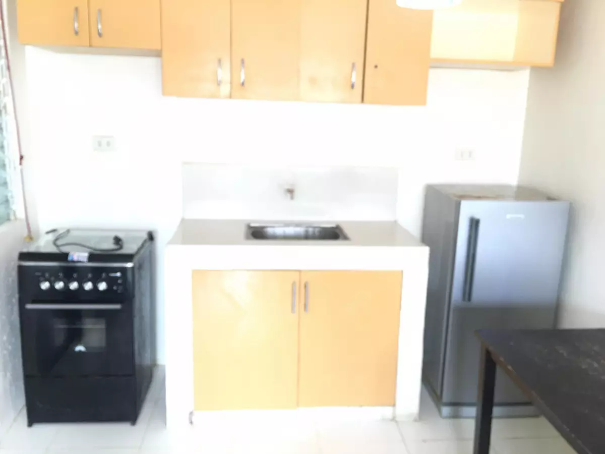 HOUSE FOR RENT IN SUNBERRY HOMES-SOONG LAPU-LAPU CITY - photo 6