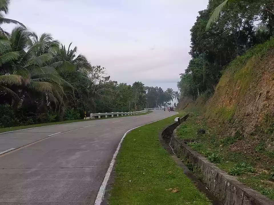 Sea Vew and Mountain View 4,507sqm title lot in Loon Bohol 800 per sqm - photo 4