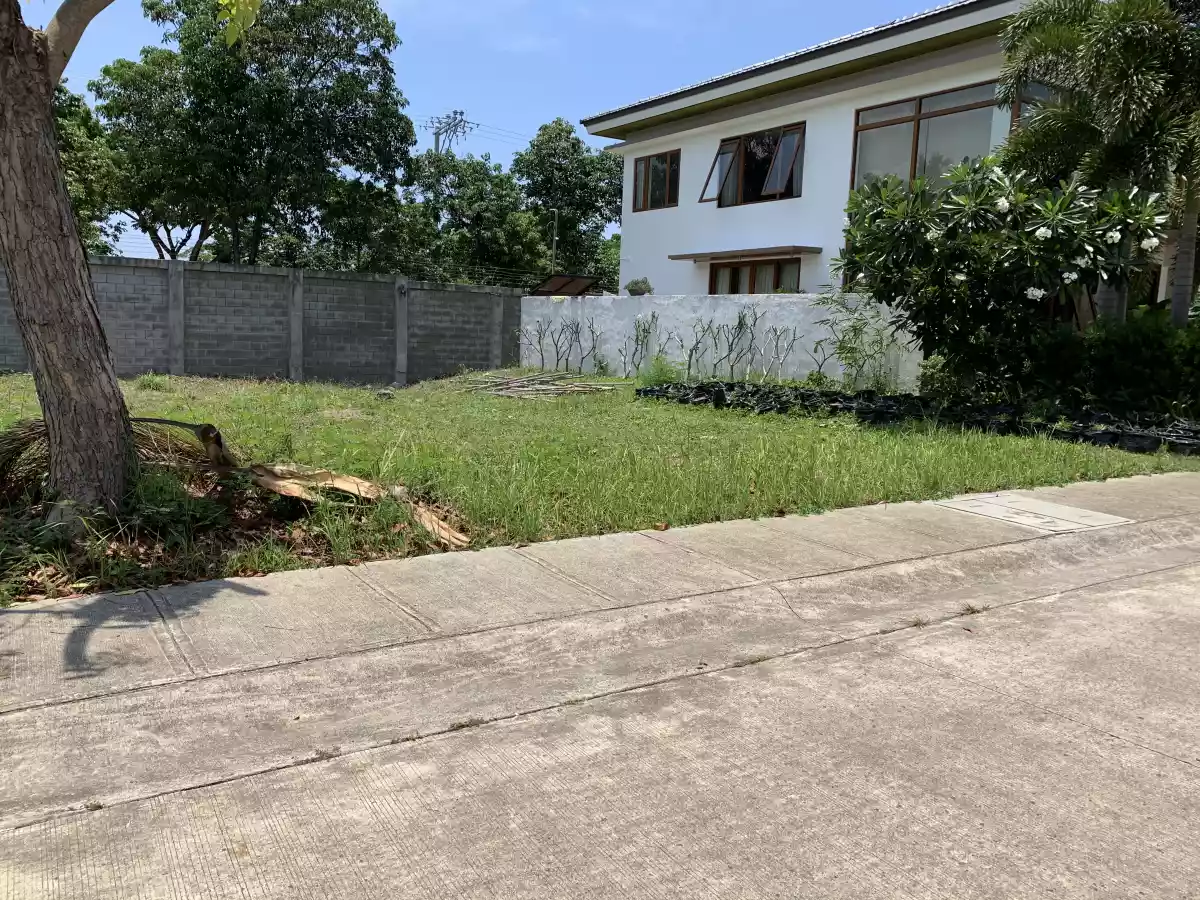 Amara lot  - photo 3