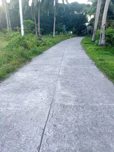 Residential Lots for Sale in Bacong/Dumaguete — Residential Lot in National Road, Zamboanguita, 6218 Negros Oriental — Photo 5