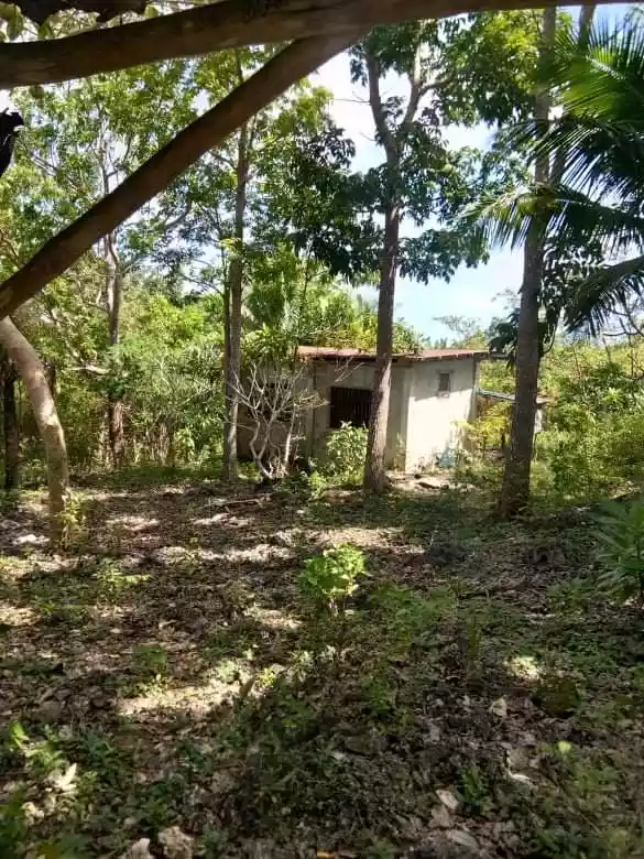 Lot for Sale - photo 3