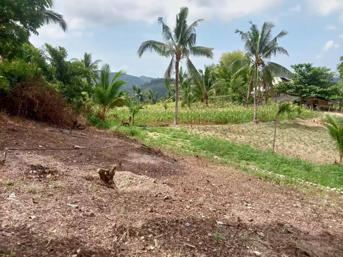 FARM LOT SAN FERNANDO AND CARCAR — Agricultural Lot in Carcar City, Cebu, Philippines — Photo 2
