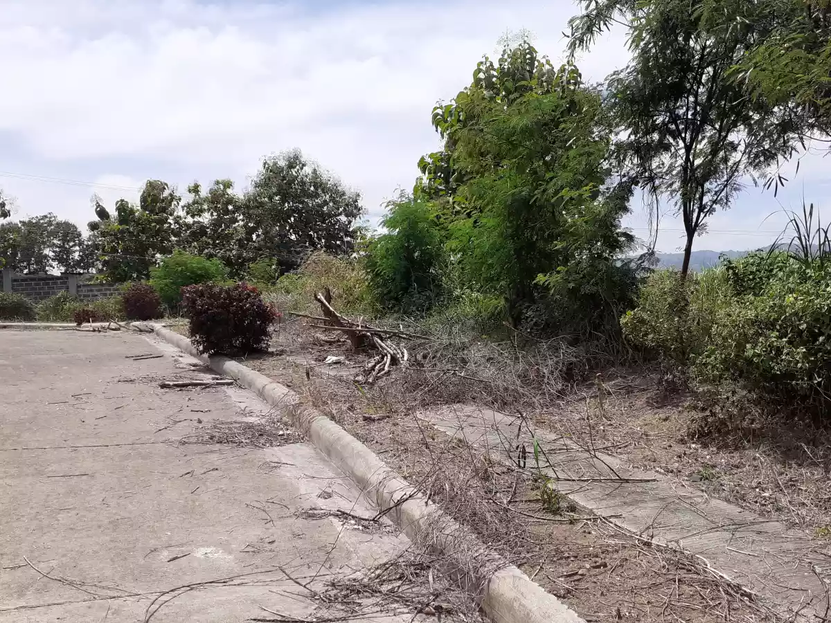 Residential lot / Teakwood Subdivision 2 lot ( adjacent lot ) - photo 4