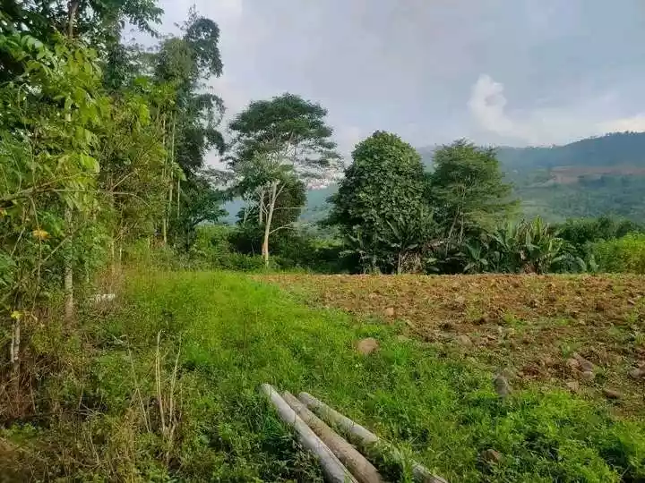 7,400 sqm Lot for Sale in Mat-i, Claveria, Misamis Oriental - photo 6