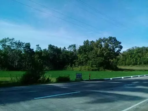 Lot along the provincial road in Bohol — Agricultural Lot in Bohol, Philippines — Photo 3