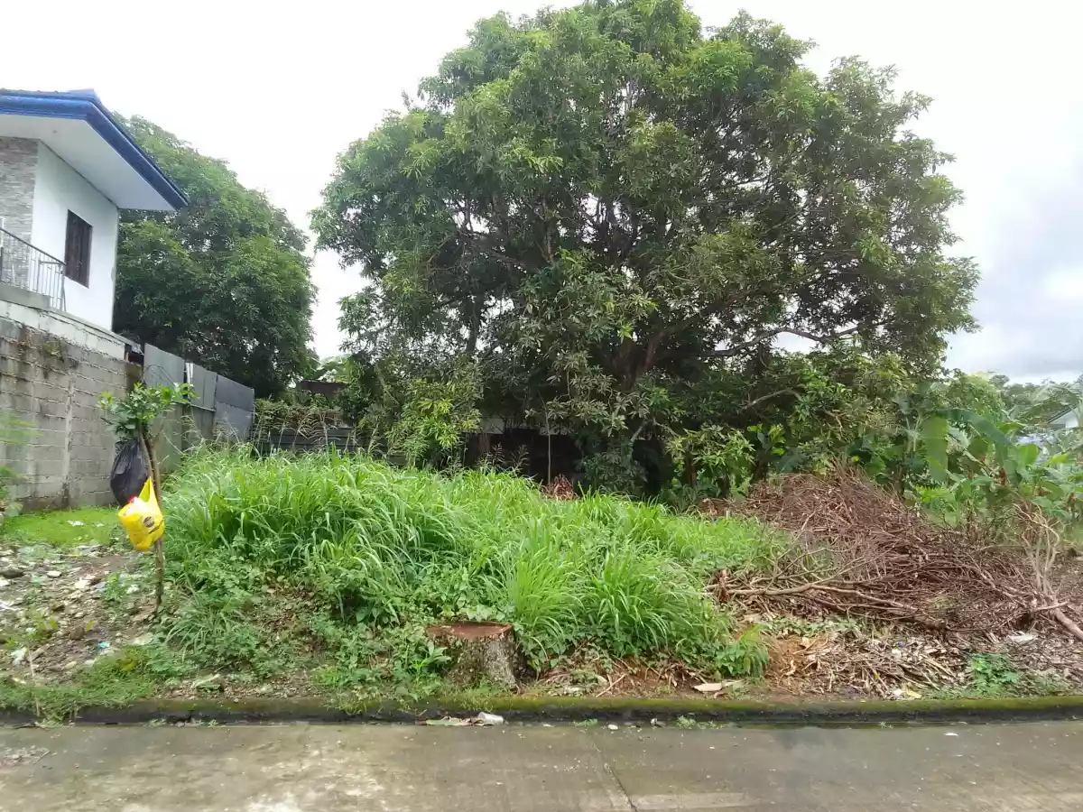 222SQM LOT FOR SALE GOLDCREST VILLAGE PHASE 3  - photo 4