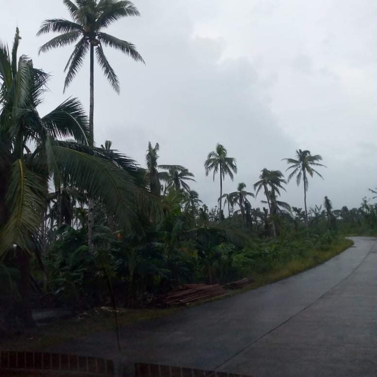 LOT FOR SALE IN CANCOHOY, DEL CARMEN, SIARGAO ISLANDS — Agricultural Lot in Surigao del Norte, Philippines — Photo 5