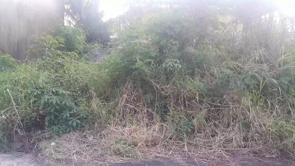 Lot only  WESTWOOD SUBD. ILOILO - photo 6