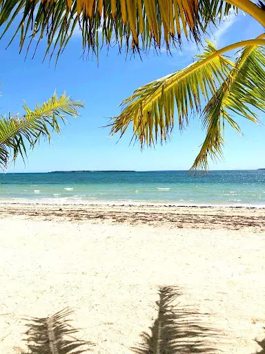 Beach Lot for Sale in Santa Fe, Cebu — Beach Lot in Santa Fe, Cebu, Philippines — Photo 3