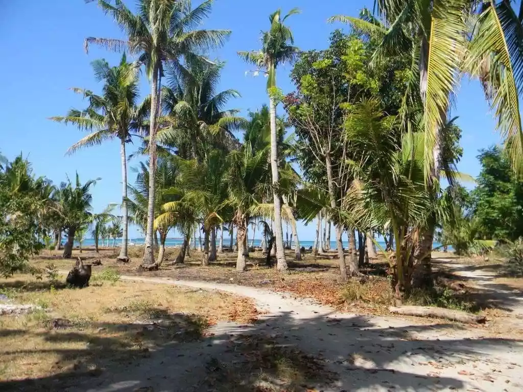 BANTAYAN BEACHLOT FOR SALE! CLEAN TITLE! — Beach Lot in Bantayan, Cebu, Philippines — Photo 5