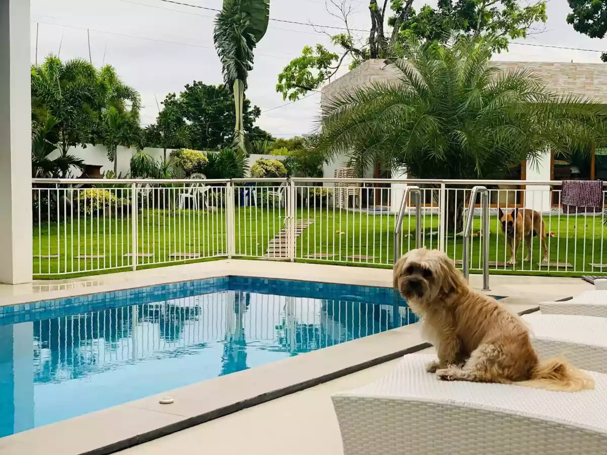 Open photo 24 of 40 — Modernized House & Lot in Bacolod