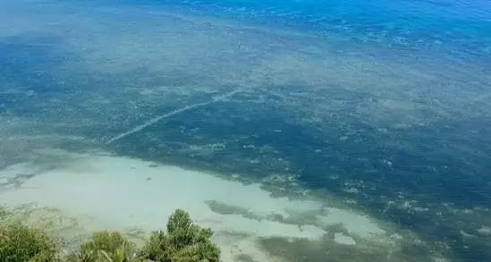 Beach Lot in Tabogon Cebu (Ideal for Resort) - photo 6
