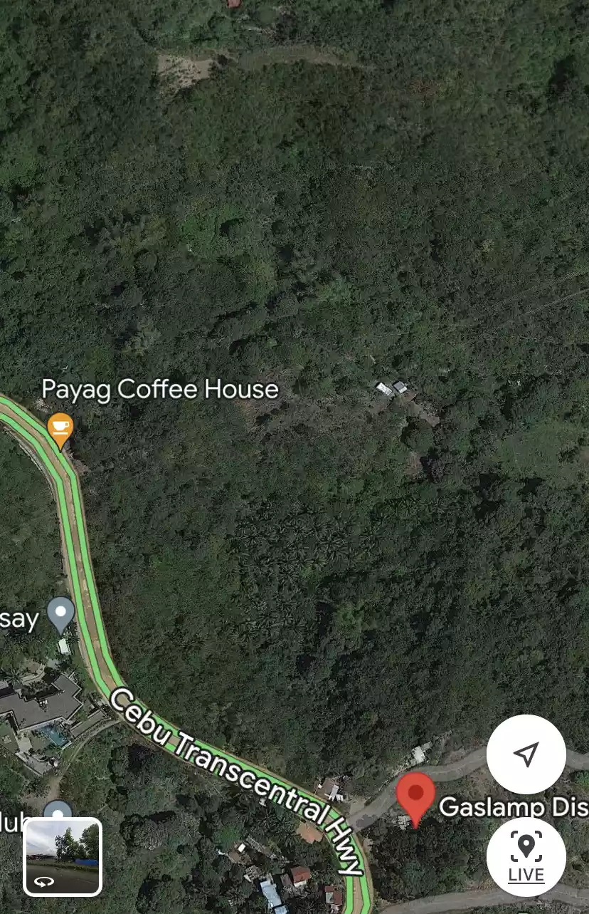 Selling Low 15,000 sqm Lot in Busay Cebu