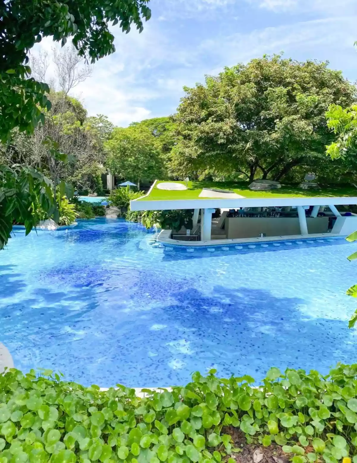 1BR Condo For sale in Tambuli Seaside — 1 Bedroom in Maribago, Mactan Island, Lapu-lapu — Photo 2
