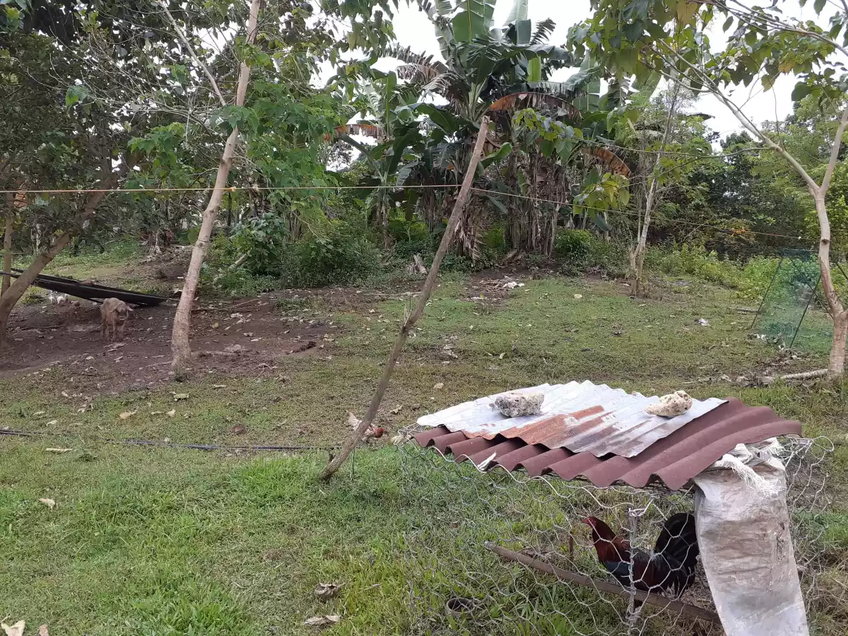 Open photo 12 of 13 — Residential Lot for sale @ indahag straight ultrawind 3,515sqm