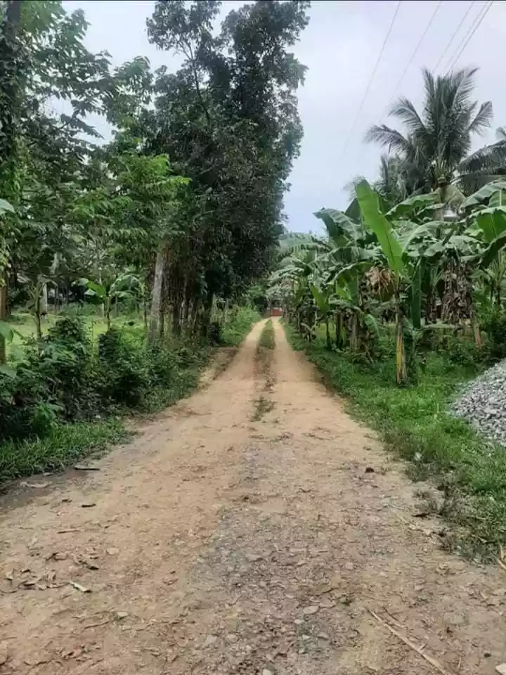 Lot For Sale!! — Agricultural Lot in Toledo City, Cebu, Philippines — Photo 4