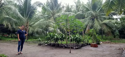 Clean title — Residential Lot in General Santos City, South Cotabato, Philippines — Photo 6