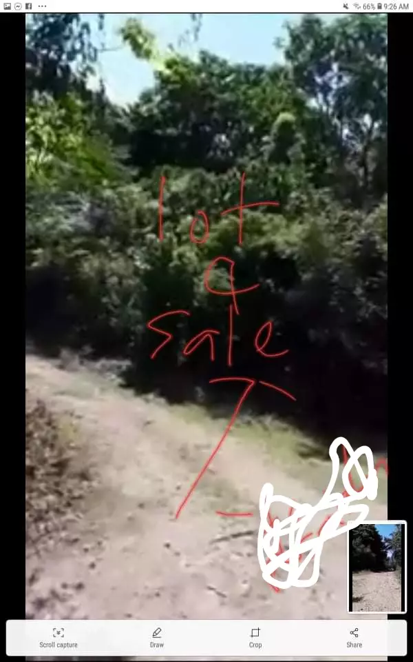 Lot for sale — Agricultural Lot in Anda, Bohol, Philippines — Photo 3