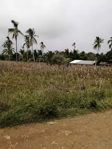 FOR SALE LOT ONLY, LAGUINDINGAN MISAMIS ORIENTAL — Residential Lot in Misamis Oriental, Philippines — Photo 3