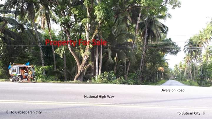 CORNER COMMERCIAL LOT FOR SALE IN AGUSAN DEL NORTE — Commercial Lot in Agusan Del Norte, Philippines — Photo 2