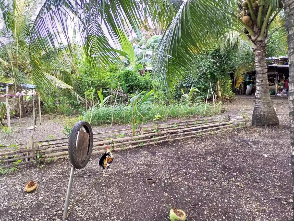 FOR SALE BEACH LOT IN POLAMBATO - photo 4
