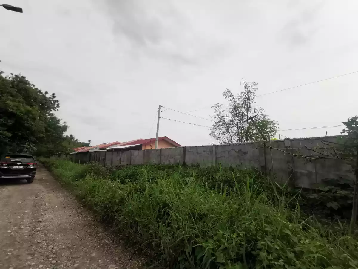 Open photo 18 of 19 — Subdivided Lots at Barangay Ligaya at the back of Agan Ligaya Subdivision and UST Hospital alongside of the proposed CityMall