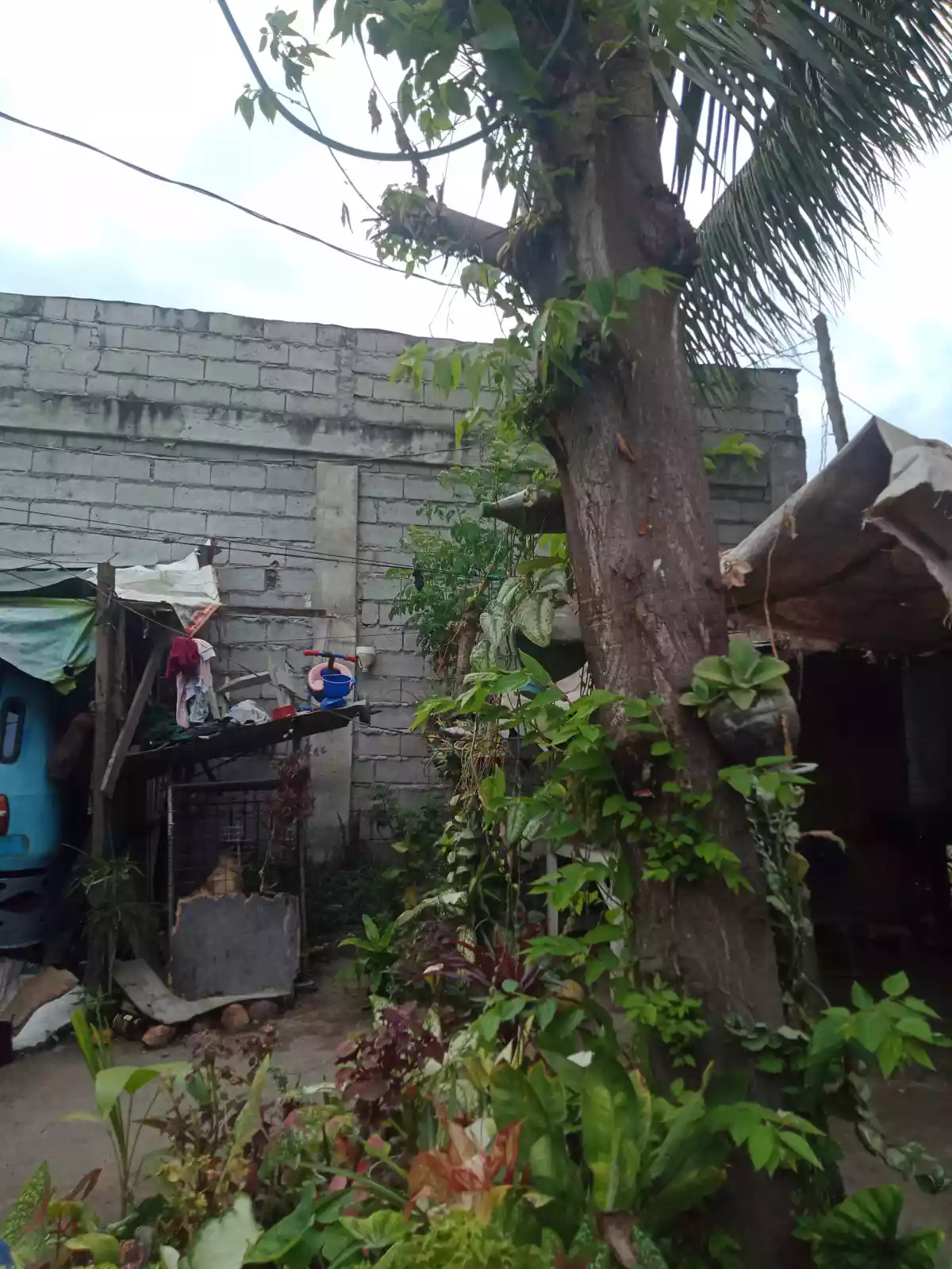 300sqm Sentro Apopong Lot for Sale! - photo 4