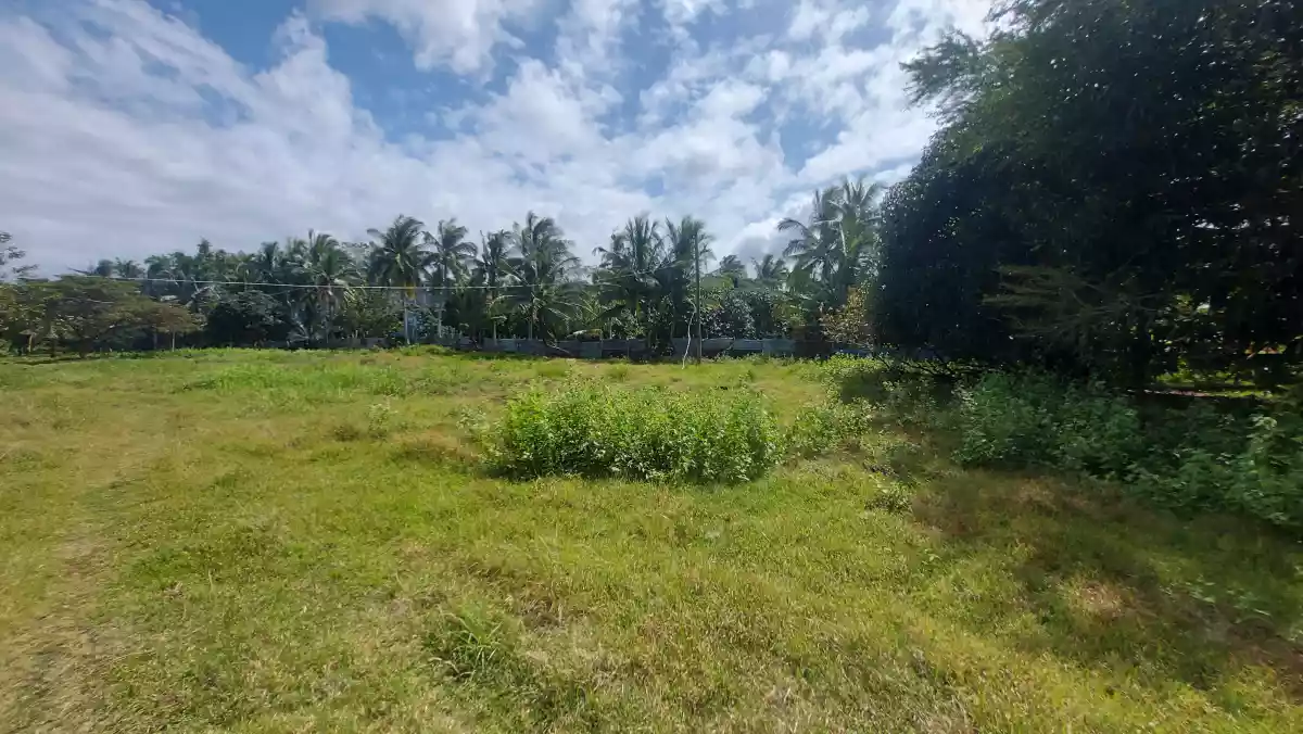 Beachlot for sale — Beach Lot in San Remigio, Cebu, Philippines — Photo 7
