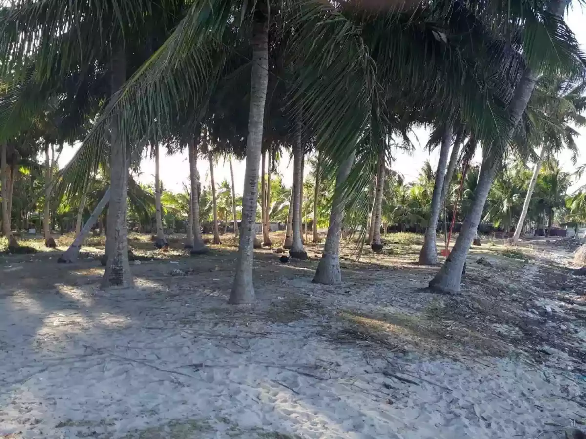 BANTAYAN BEACHLOT FOR SALE! CLEAN TITLE! — Beach Lot in Bantayan, Cebu, Philippines — Photo 7