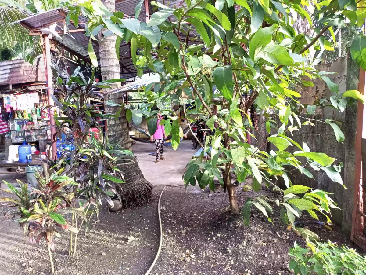 FOR SALE BEACH LOT IN POLAMBATO - photo 6