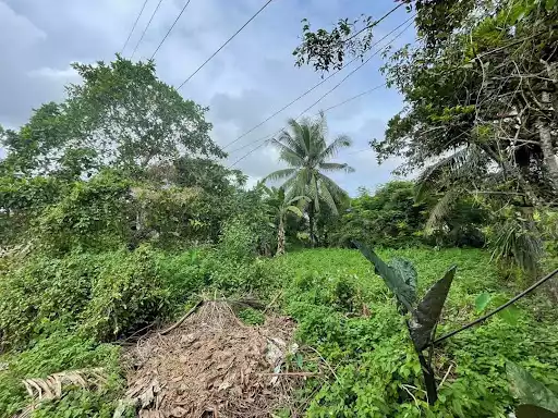 Open photo 12 of 17 — FORTUNEVILLE SAGAY LOT FOR SALE! NEAR THE ENTRANCE!