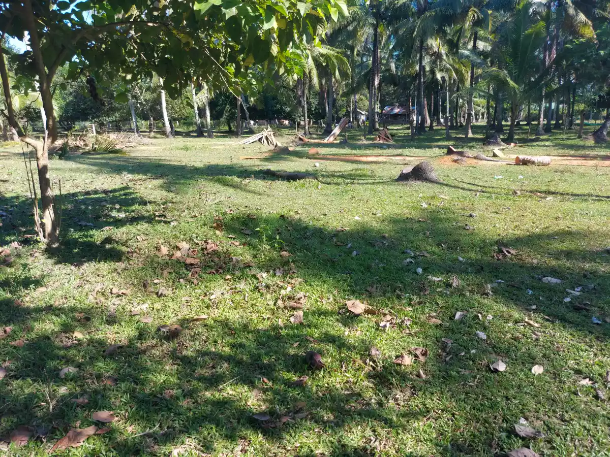 AFFORDABLE LOT FOR SALE IN SIBULAN