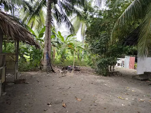 2022000061 — Beach Lot in Sarangani, Philippines — Photo 6
