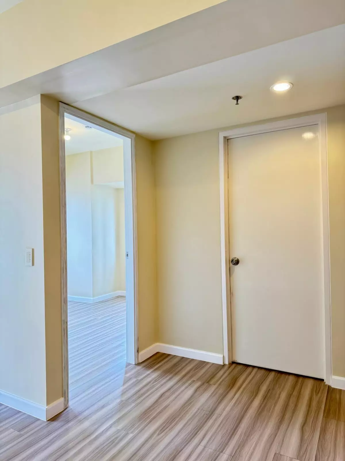 1 Bedroom for Sale at AVIDA (corner unit) — 1 Bedroom in Lahug, Cebu City, Cebu — Photo 4