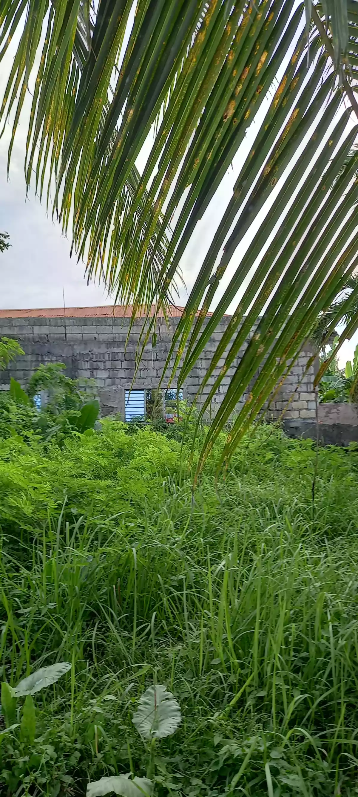 Residential lot - photo 4