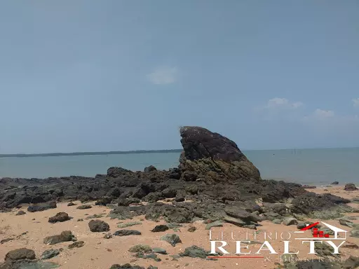 Agri BeachFront For Sale!!! — Beach Lot in Camarines Sur, Philippines — Photo 4