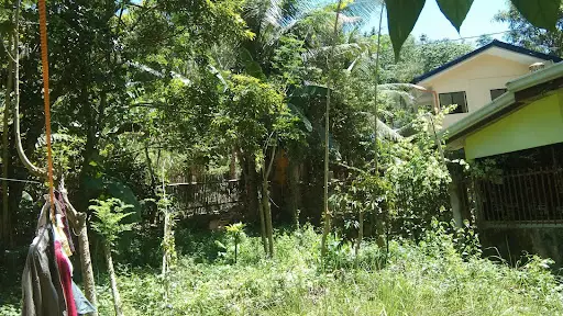 Titled — Agricultural Lot in Minglanilla, Cebu, Philippines — Photo 3