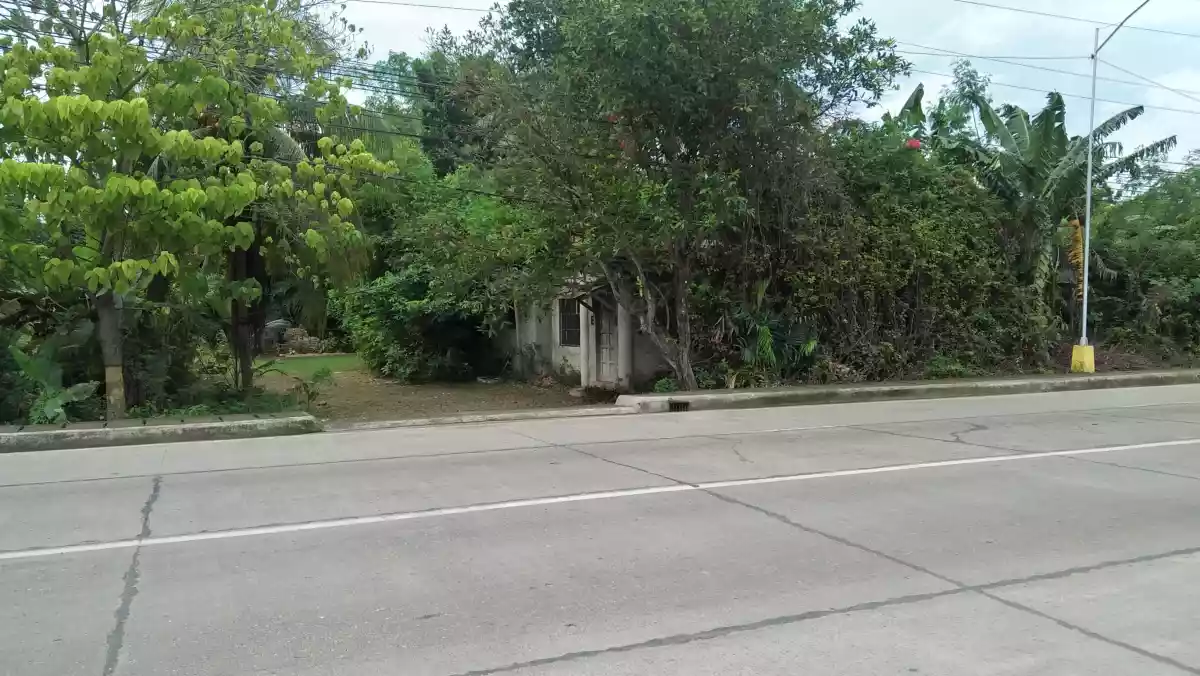 Commercial Lot in Bogo for Sale - photo 4