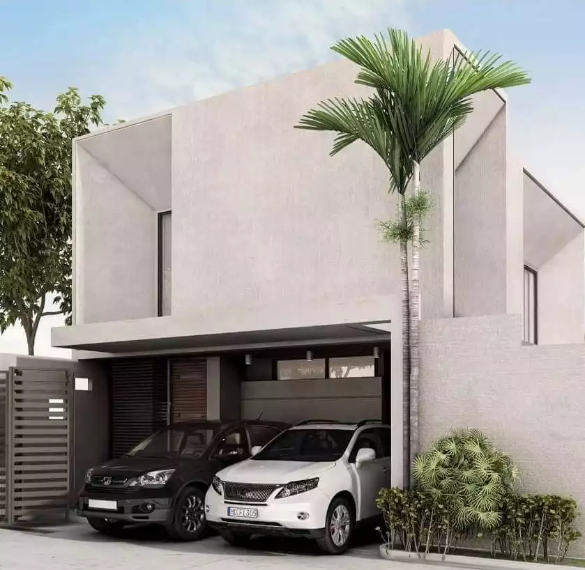 Preselling Modern House and Lot in Consolacion