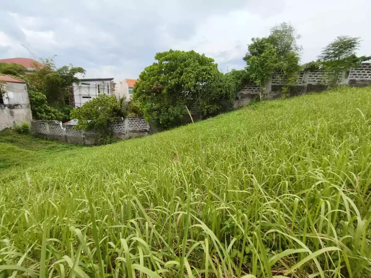 Residential Corner Lot in Royale Cebu Estate — Residential Lot in Consolacion, Cebu, Philippines — Photo 4