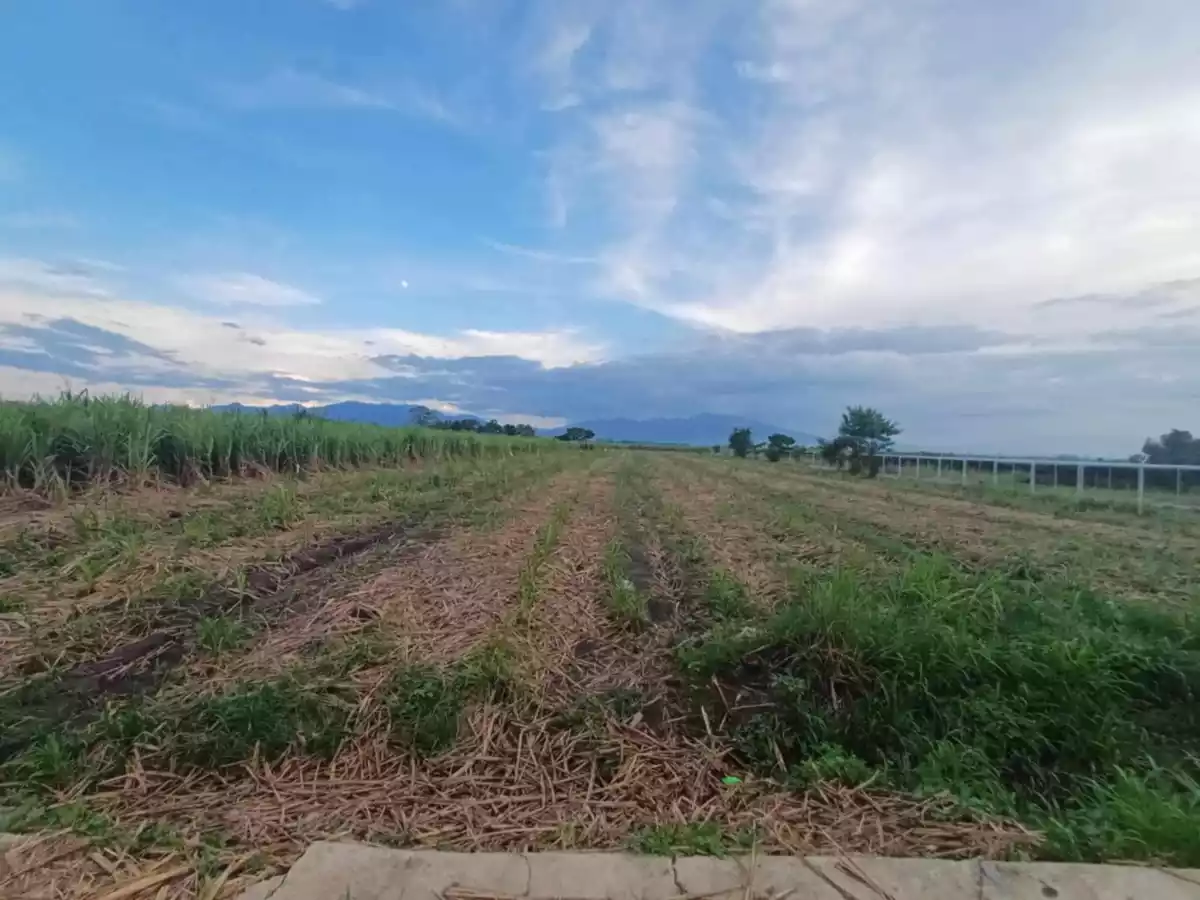 Lot - Silay City along Cir. Road going EB Magalona - photo 6