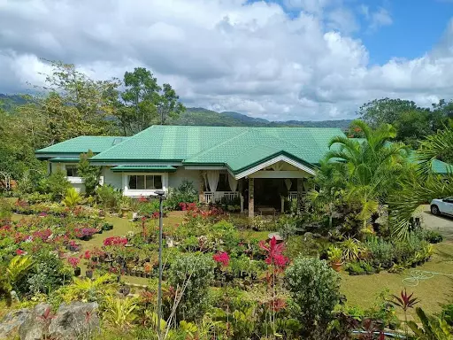 FARM HOUSE FOR SALE?? — House and Lot in Cebu City, Cebu, Philippines — Photo 5