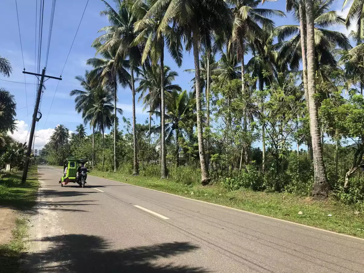 Farm Lot in Tubod, Lanao Del Norte