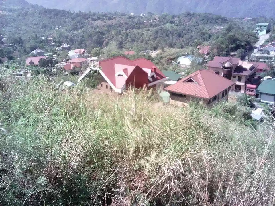 Alta Verde Subdivision- Baguio City — Residential Lot in Asin Road, Tuba, Benguet — Photo 6