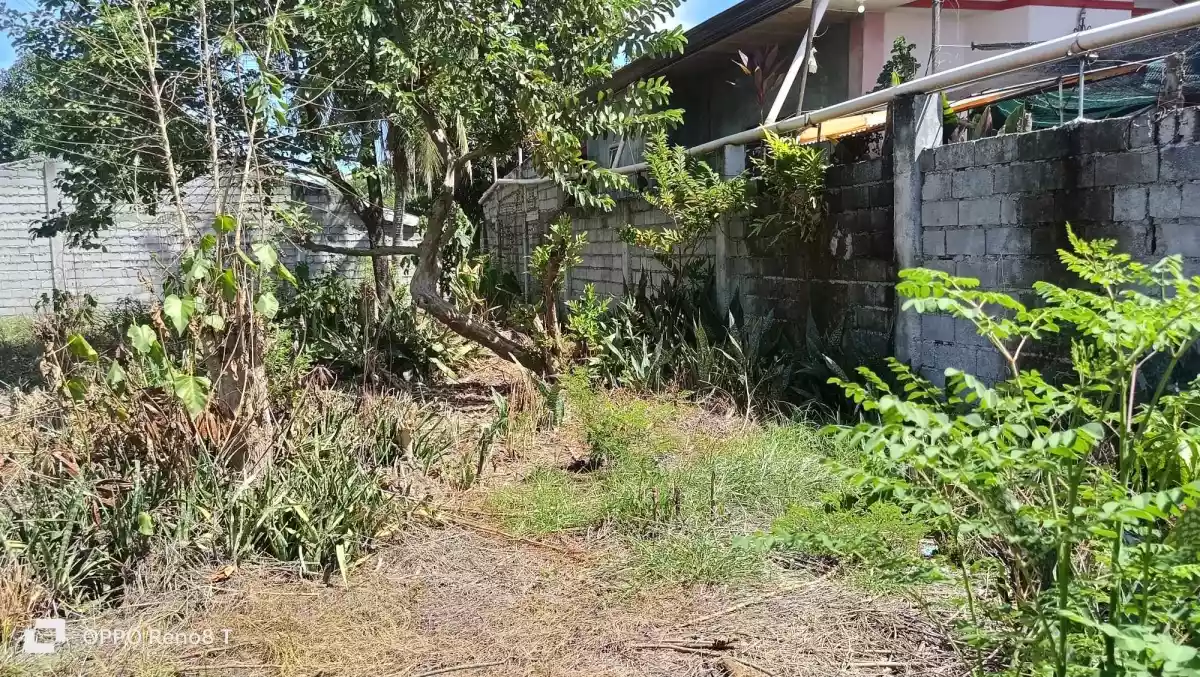 375sqm Residential Lot For Sale at Brgy. Fatima Uhaw — Residential Lot in General Santos City, South Cotabato, Philippines — Photo 2