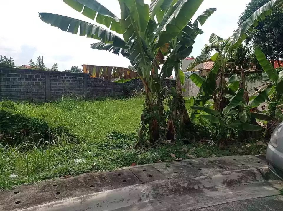 SUBDIVISION LOT FOR SALE: - photo 3